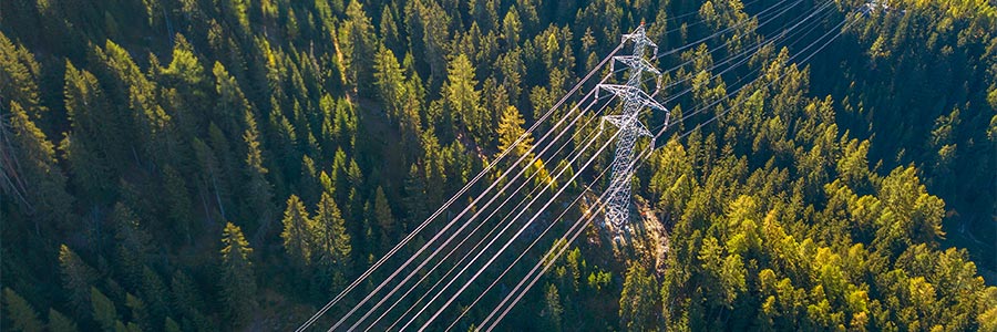 Vue aérienne de lignes de transport d’électricité qui traversent une forêt.