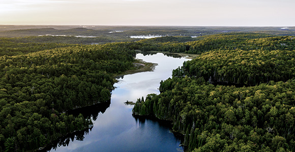 Fleuve sillonnant une forêt dense