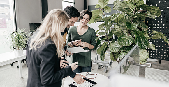 Un groupe de professionnels passe en revue des documents dans une salle de conférence décorée de grandes plantes.