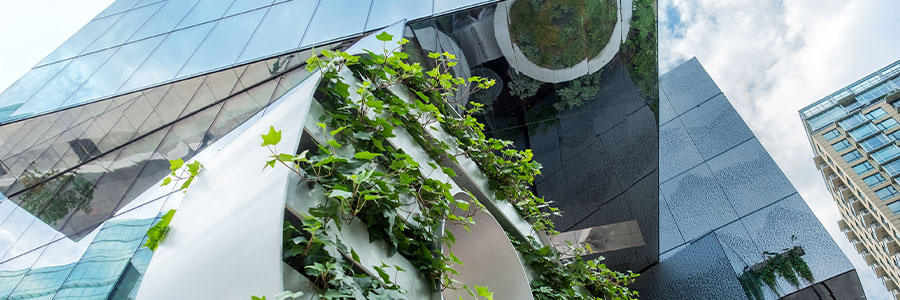 L’extérieur d’un immeuble de bureaux moderne avec des plantes qui sortent des murs spécialisés