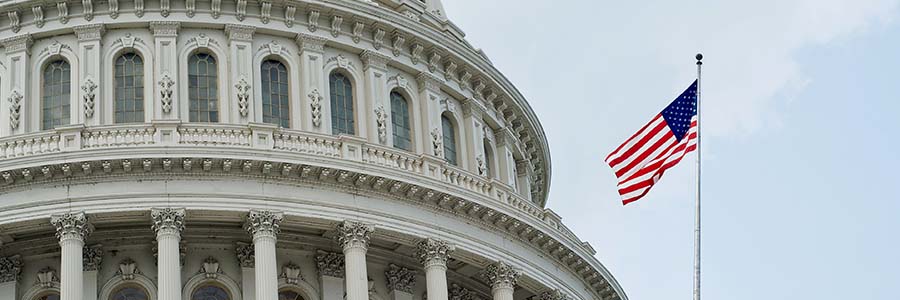 The Capitol building in Washington D.C.