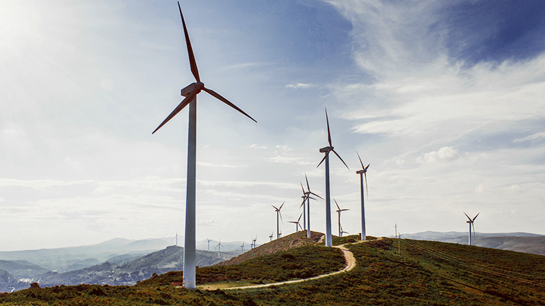 Un champ d’éoliennes