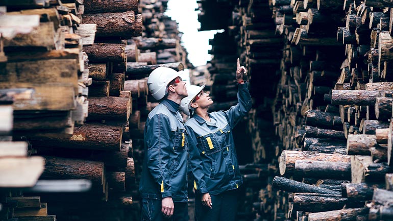 Two people in hard hats and jackets standing between stacks of logs, inspecting the logs.